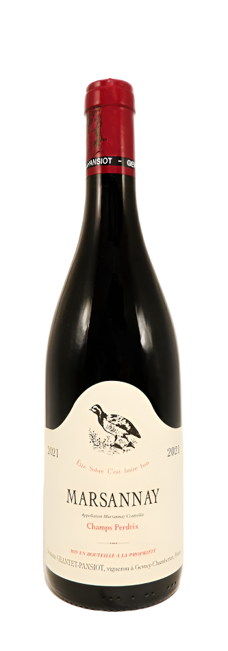 Marsannay, Champs Perdrix 2021 by Geantet Pansiot – Wines from France
