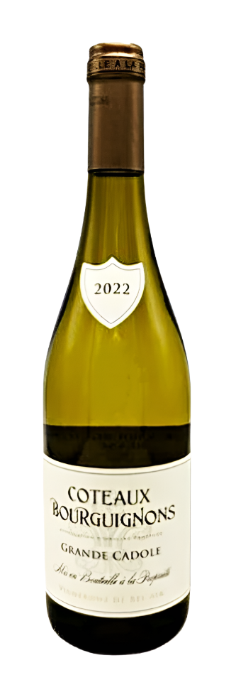 Chardonnay, Coteaux Bourguignons by Vigerons de Bel Air