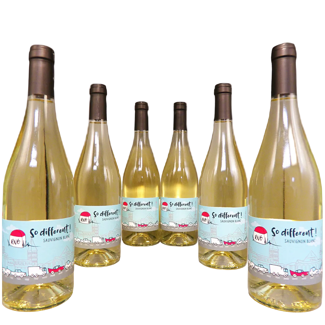 Sauvignon Blanc, 6 Pack Bundle 2023, So Different Domaine Dupre